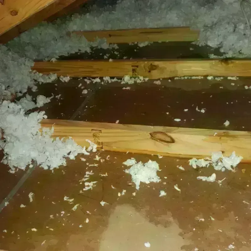 Attic Water Damage in Ingalls Park, IL