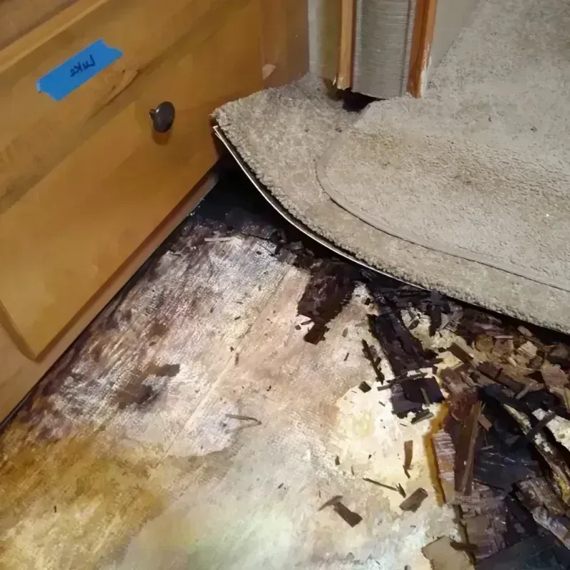 Wood Floor Water Damage in Ingalls Park, IL